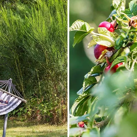 Hébergement de vacances 6835-allinge-gronnedalsvej-19-b Allinge-Sandvig