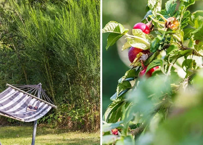 6835-allinge-gronnedalsvej-19-b